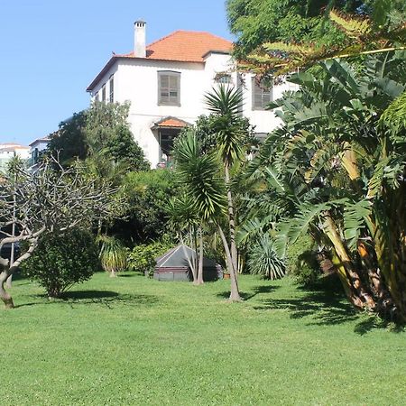 Jasmineiro - Palms Palace Apartment Funchal  Eksteriør bilde
