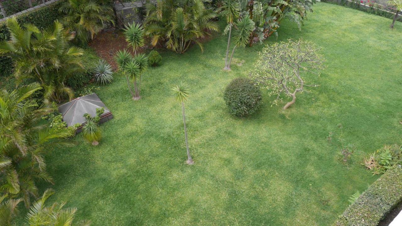 Jasmineiro - Palms Palace Apartment Funchal  Eksteriør bilde